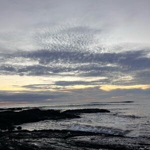 Meet your Posher, Portia